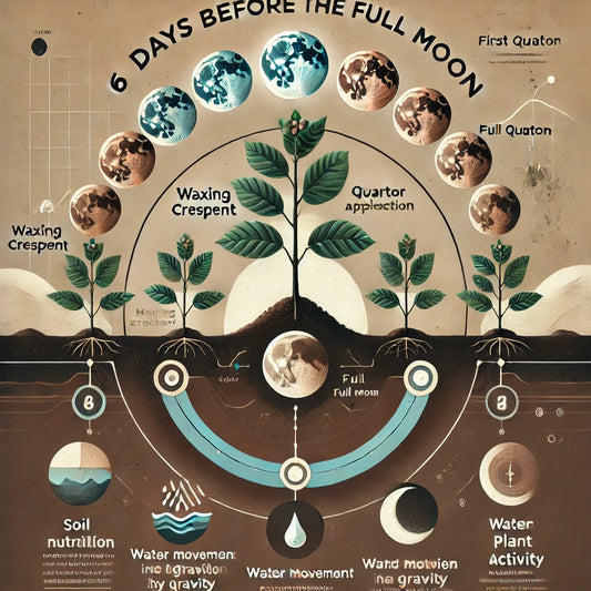 How Astronomy Plays an Important Role in Coffee Estate Management