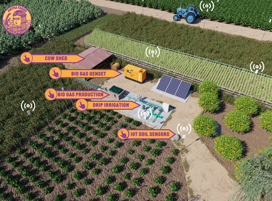 Building a Self-Sustainable Organic Modern Farm: A Guide to Sustainable Agriculture