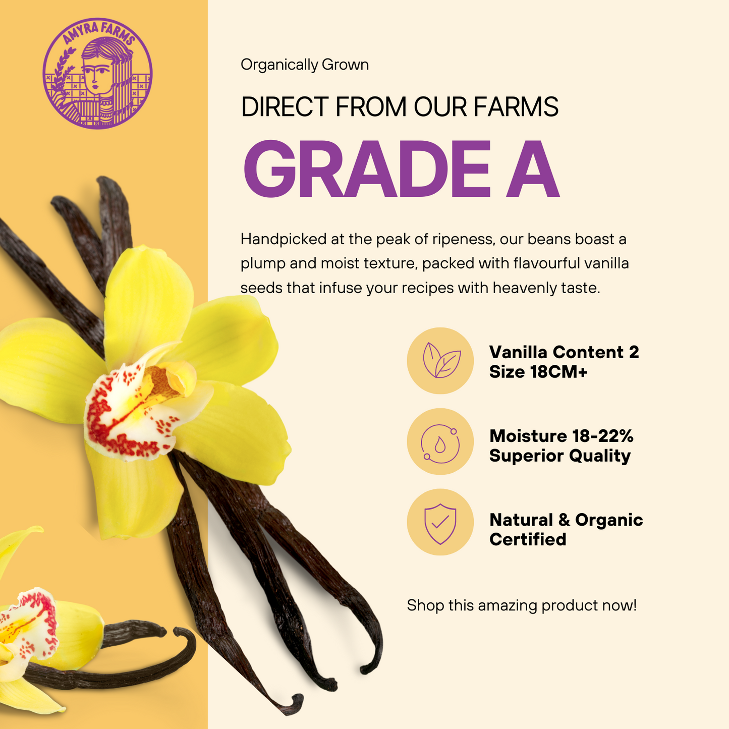 Vanilla Beans Grade A (18cm+)