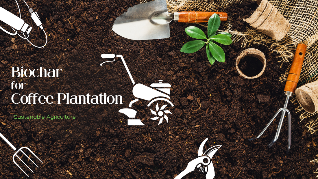 Biochar : Revitalizing Plantations