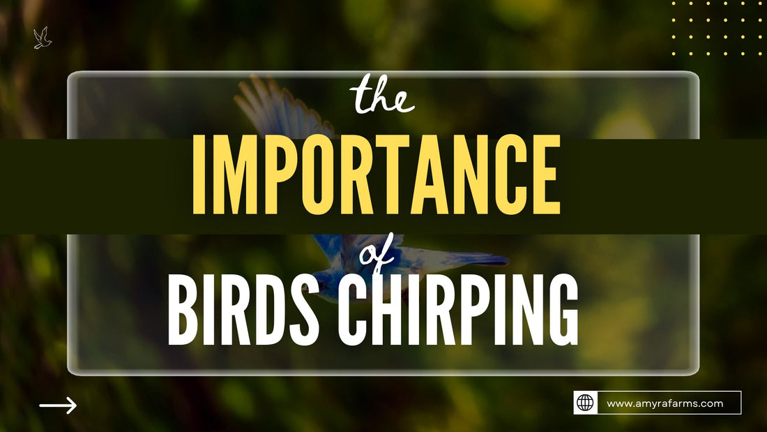 How birds chirping has an effect on your fertigation timing