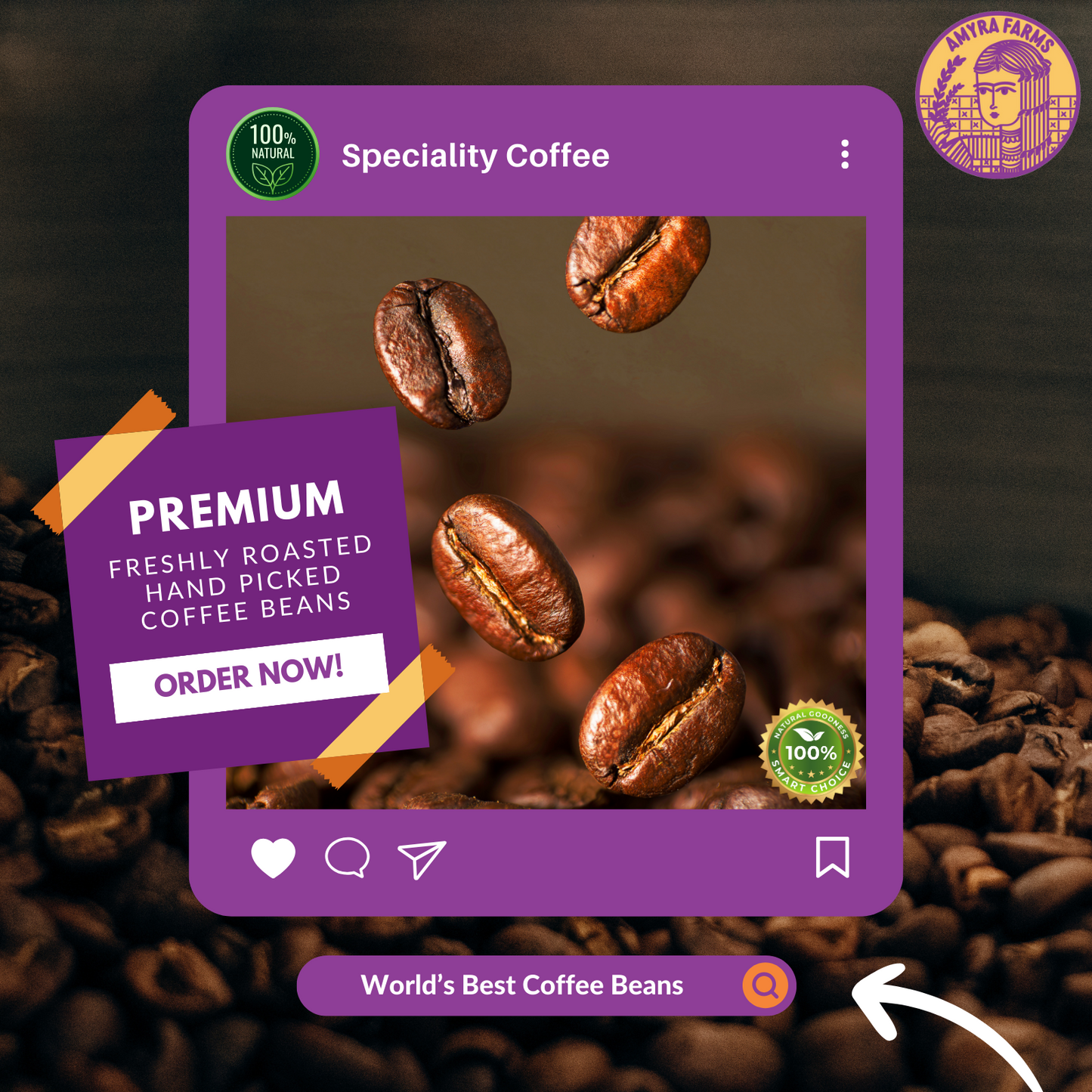 Speciality 100 % Arabica Coffee Beans | Medium Roast