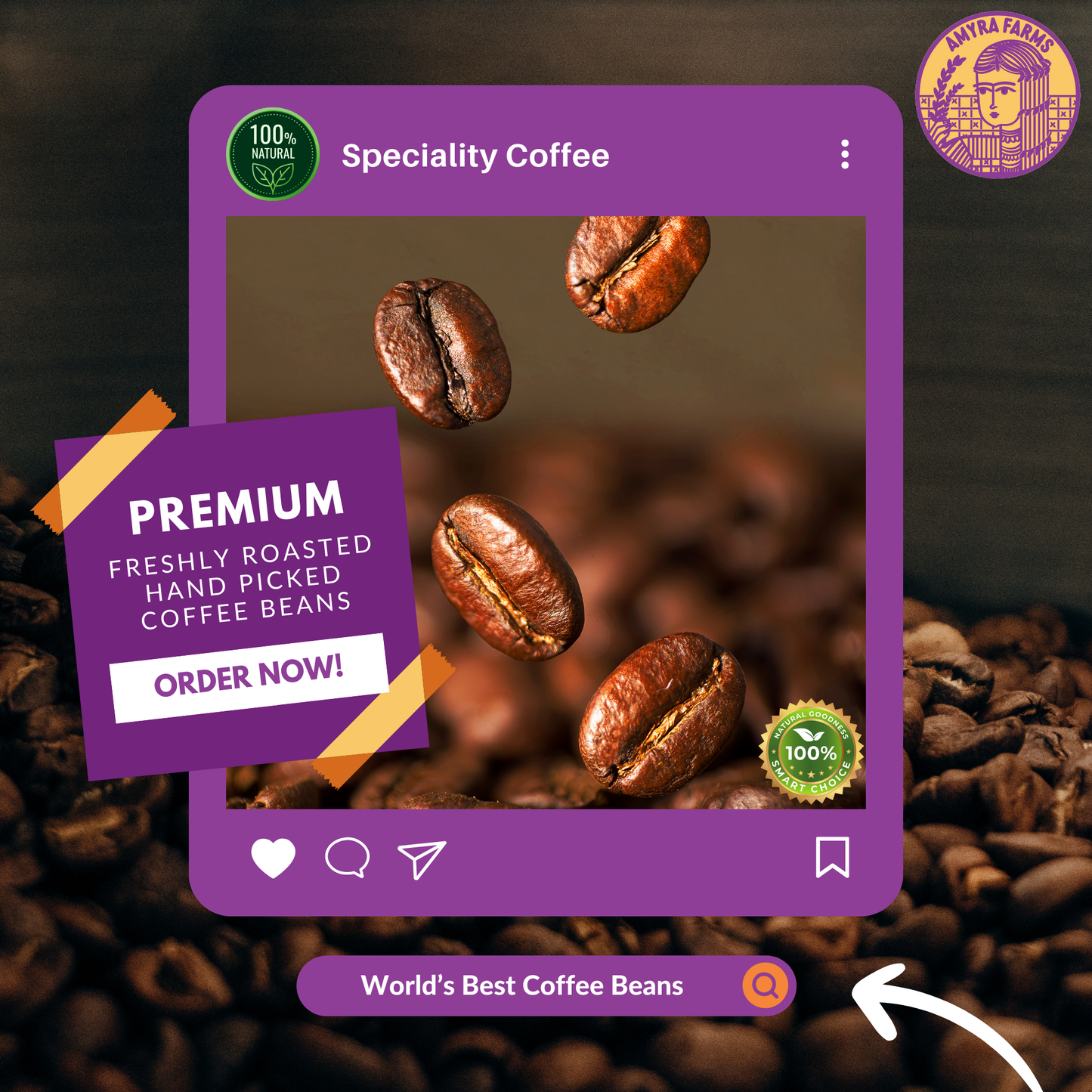 Speciality 100 % Arabica Coffee Beans | Medium Roast