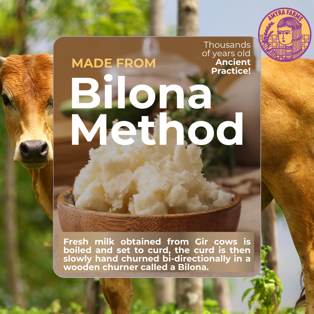 A2 Gir Cow Ghee Made From Bilona Method